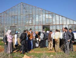 SYDV'dan tarım desteği